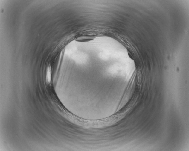 X0000087010046200705141842