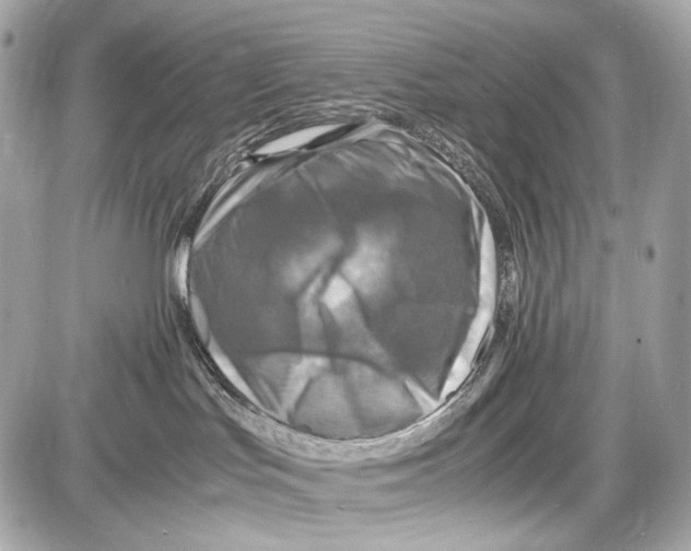 X0000087010047200705141842