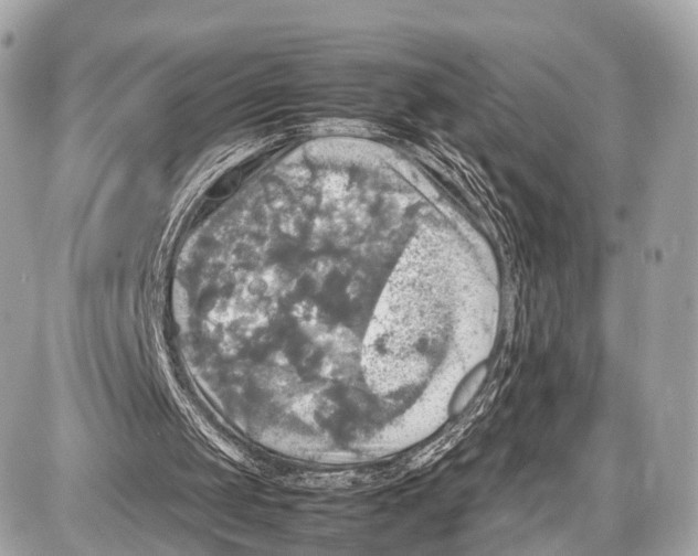 X0000087010049200705141841