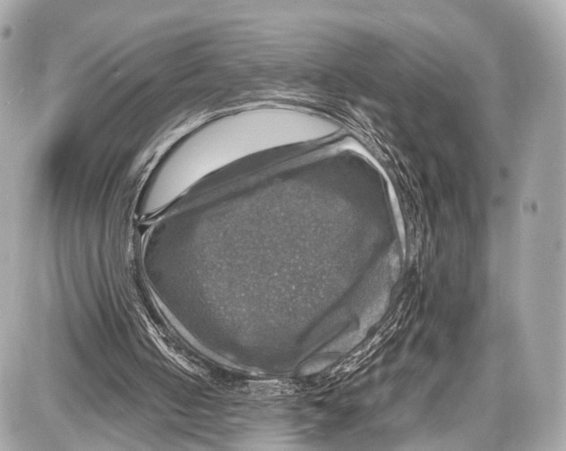 X0000087010050200705141841