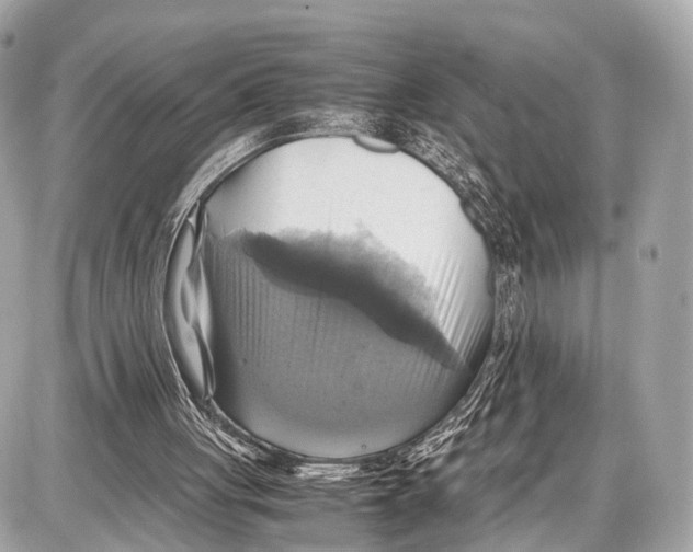 X0000087010051200705141841