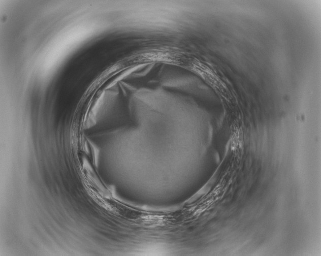 X0000087010052200705141841