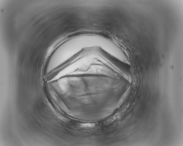 X0000087010053200705141841