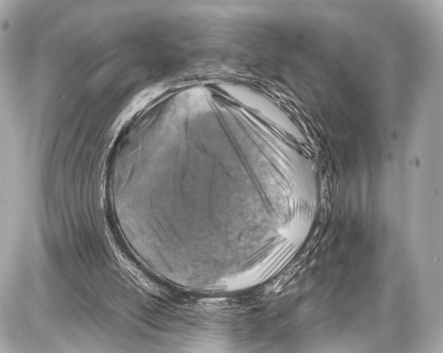 X0000087010054200705141841