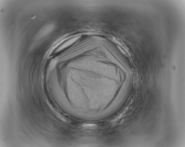 X0000087010055200705141841