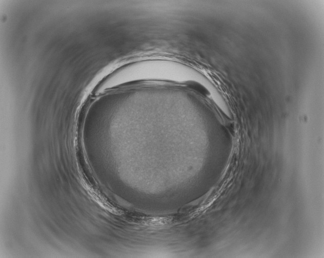 X0000087010056200705141841