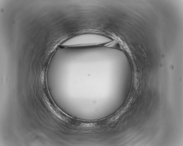 X0000087010057200705141841