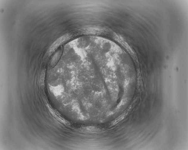 X0000087010058200705141841