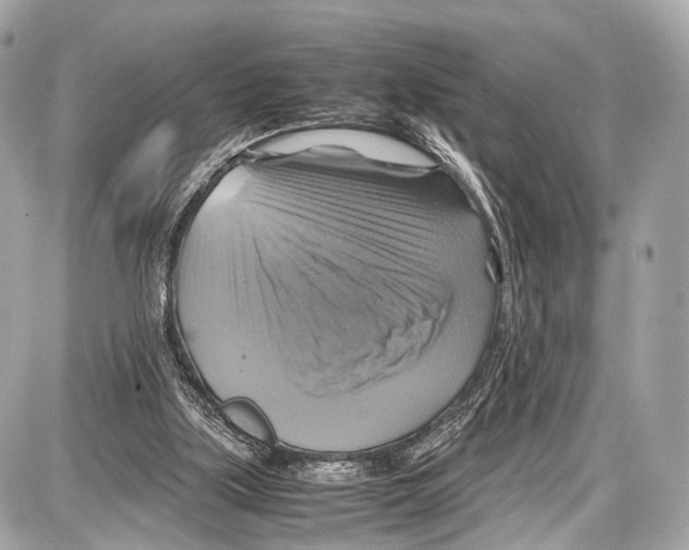 X0000087010059200705141841