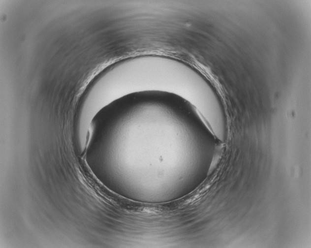 X0000087010060200705141842