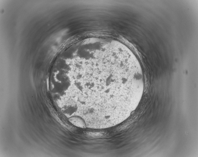 X0000087010061200705141842