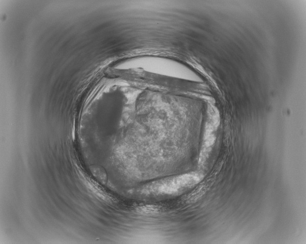 X0000087010062200705141842