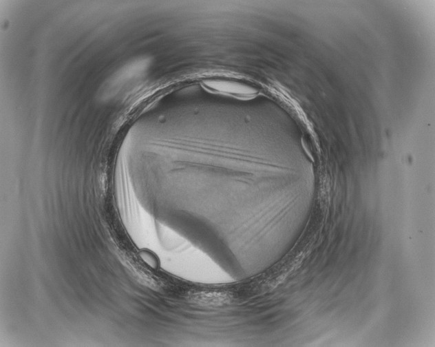 X0000087010063200705141842