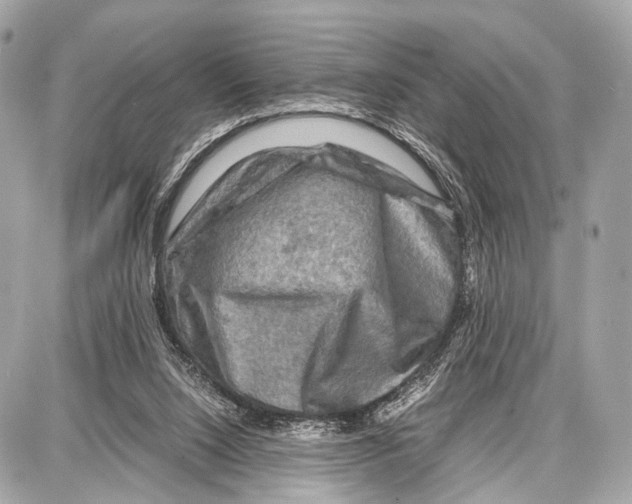 X0000087010064200705141842