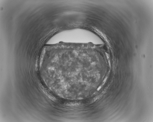 X0000087010065200705141842