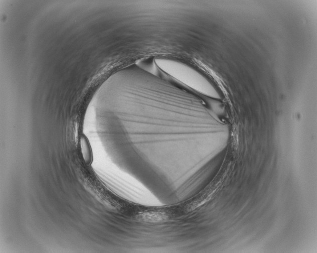 X0000087010067200705141842