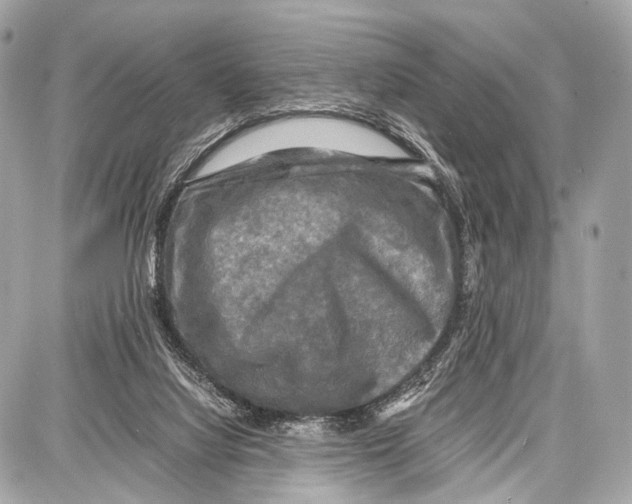 X0000087010068200705141842