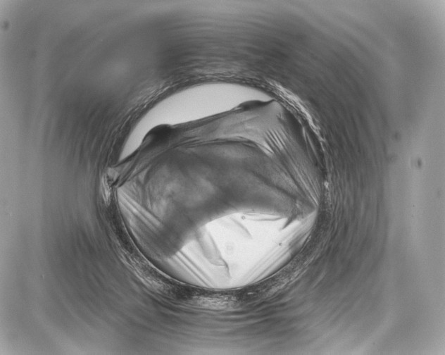 X0000087010069200705141842