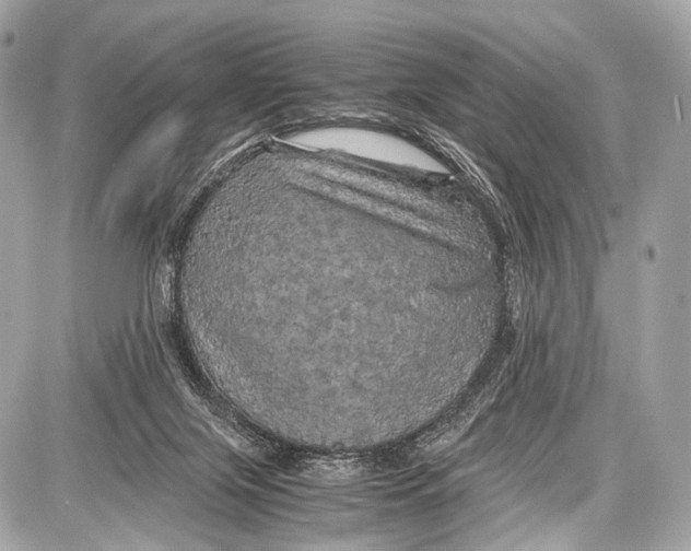 X0000087010071200705141842