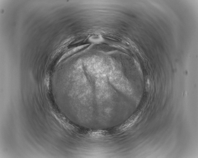 X0000087010072200705141842