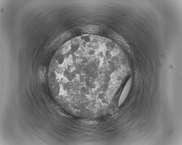 X0000087010073200705141842