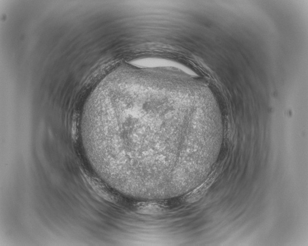 X0000087010074200705141842