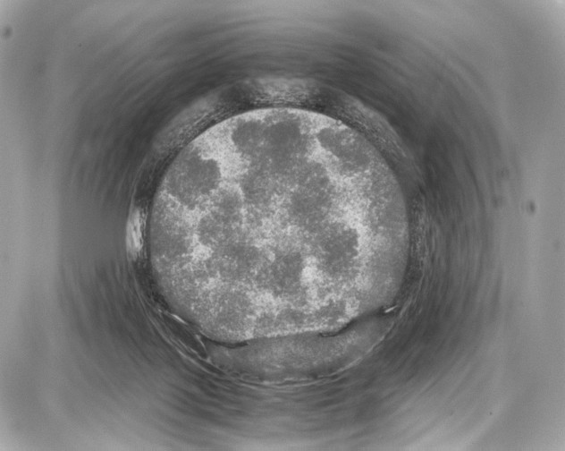 X0000087010075200705141842