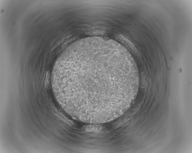 X0000087010077200705141842