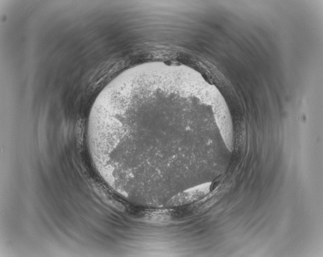 X0000087010078200705141842