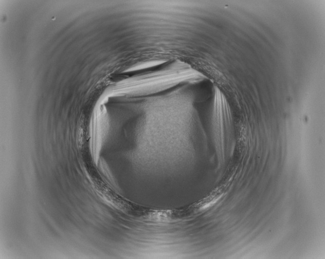 X0000087010080200705141842