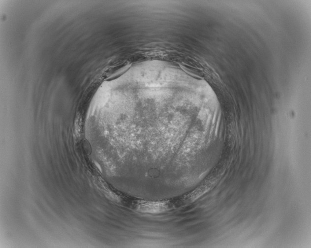 X0000087010081200705141842