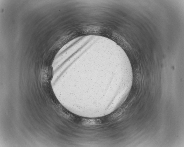 X0000087010083200705141842