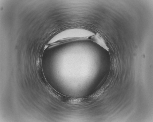 X0000087010084200705141842