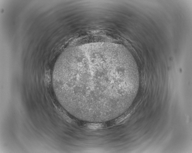 X0000087010085200705141842