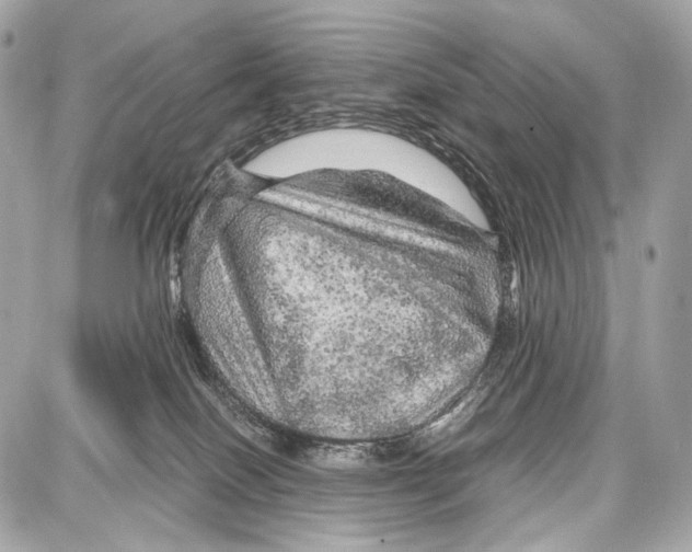 X0000087010086200705141842