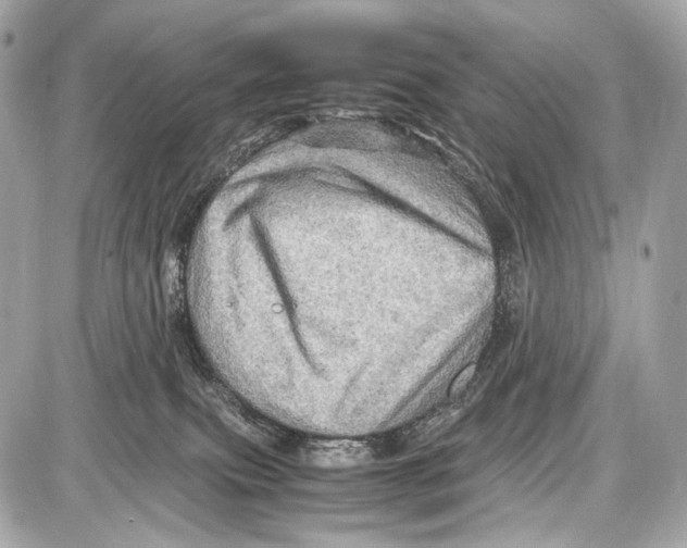 X0000087010087200705141842