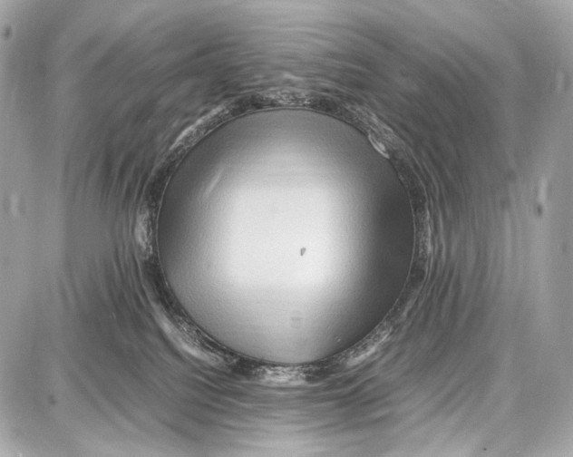 X0000087010088200705141842