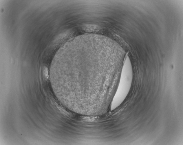 X0000087010089200705141842