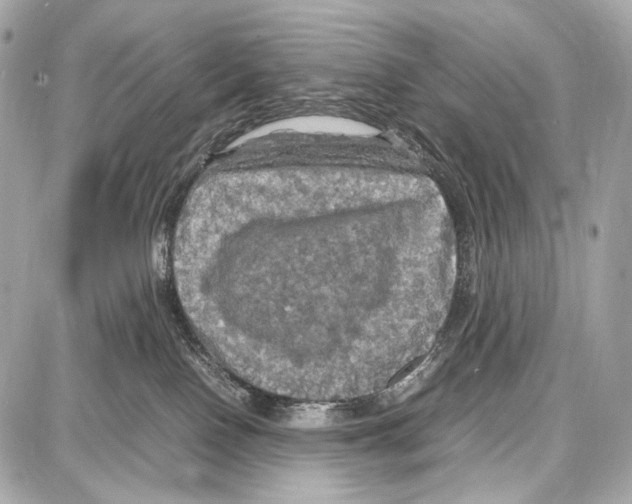 X0000087010090200705141842