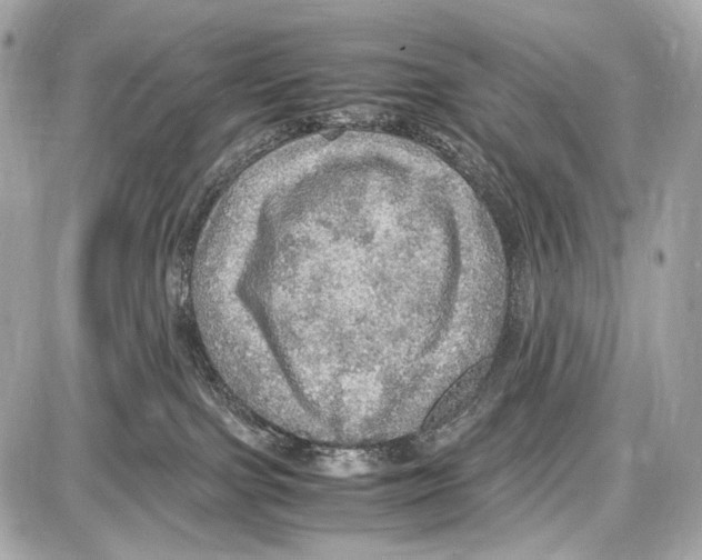 X0000087010091200705141842