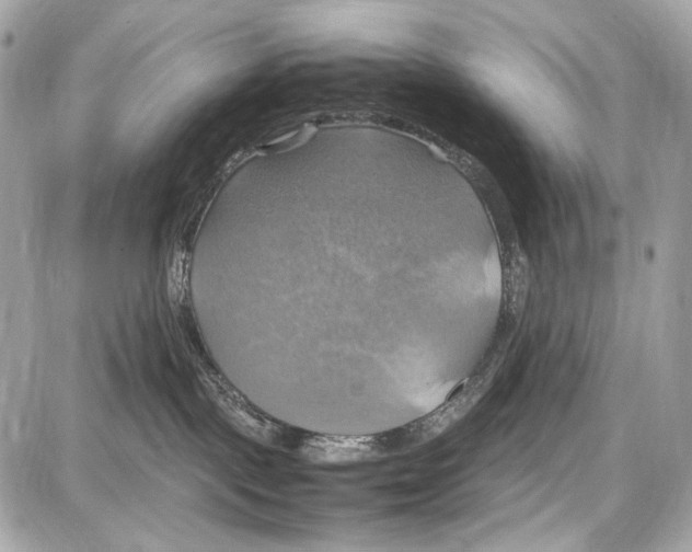 X0000087010093200705141842