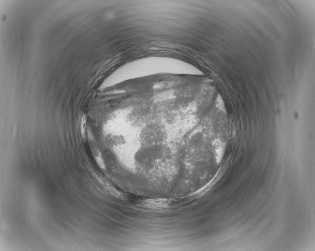 X0000087010094200705141842