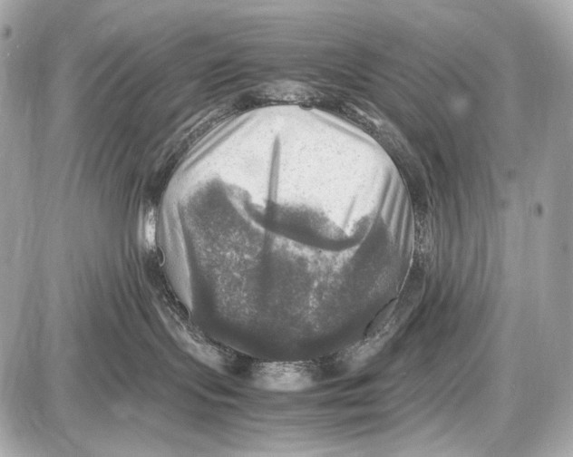 X0000087010095200705141842