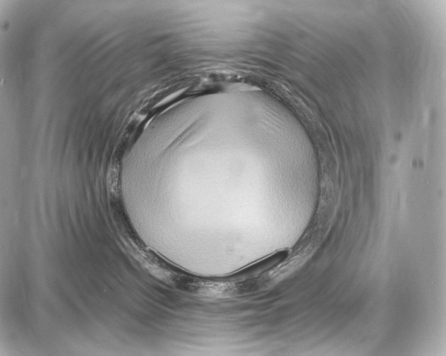 X0000087010096200705141842