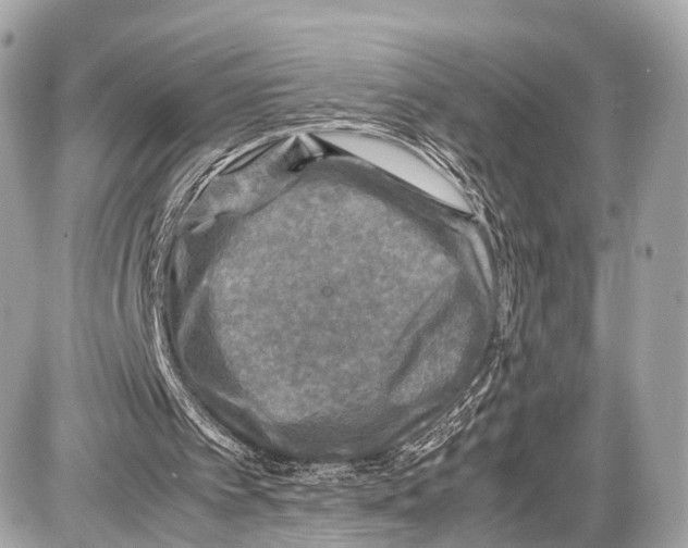 X0000087010097200705141841