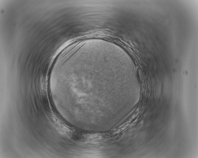 X0000087010100200705141841