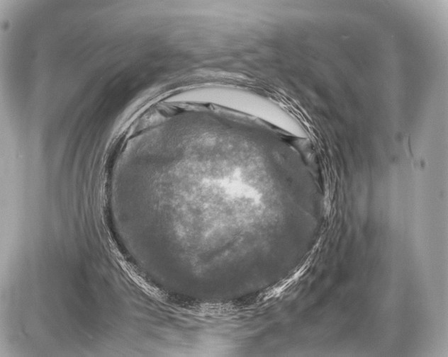 X0000087010101200705141841