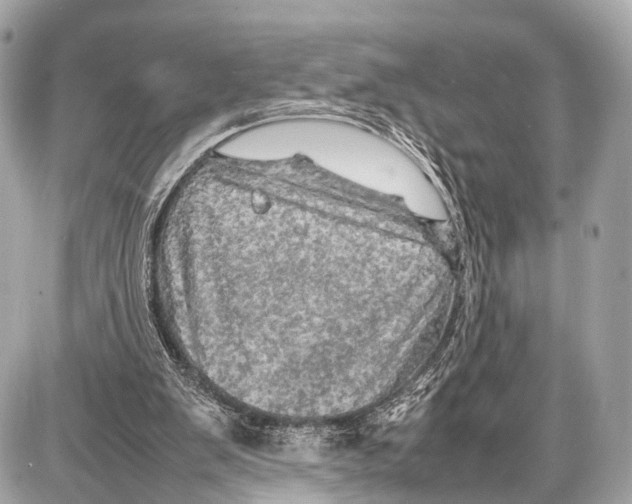 X0000087010103200705141841