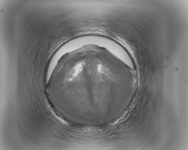 X0000087010105200705141841