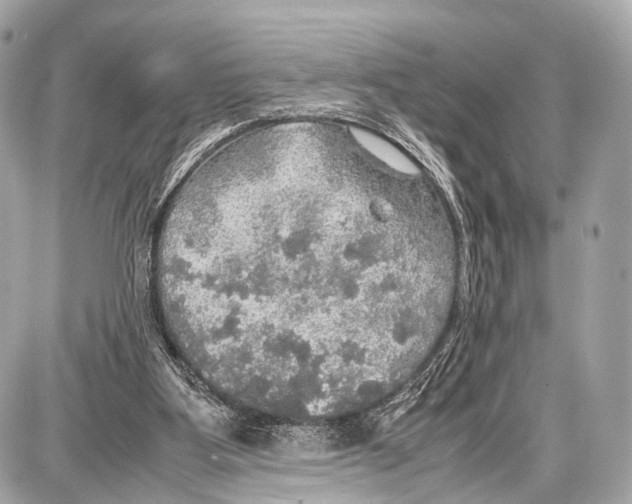 X0000087010107200705141841